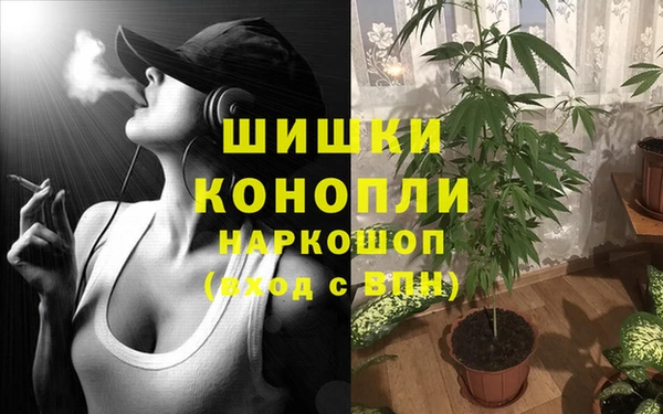 ECSTASY Туринск