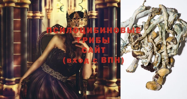 ECSTASY Туринск